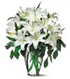 Perfect white lillies